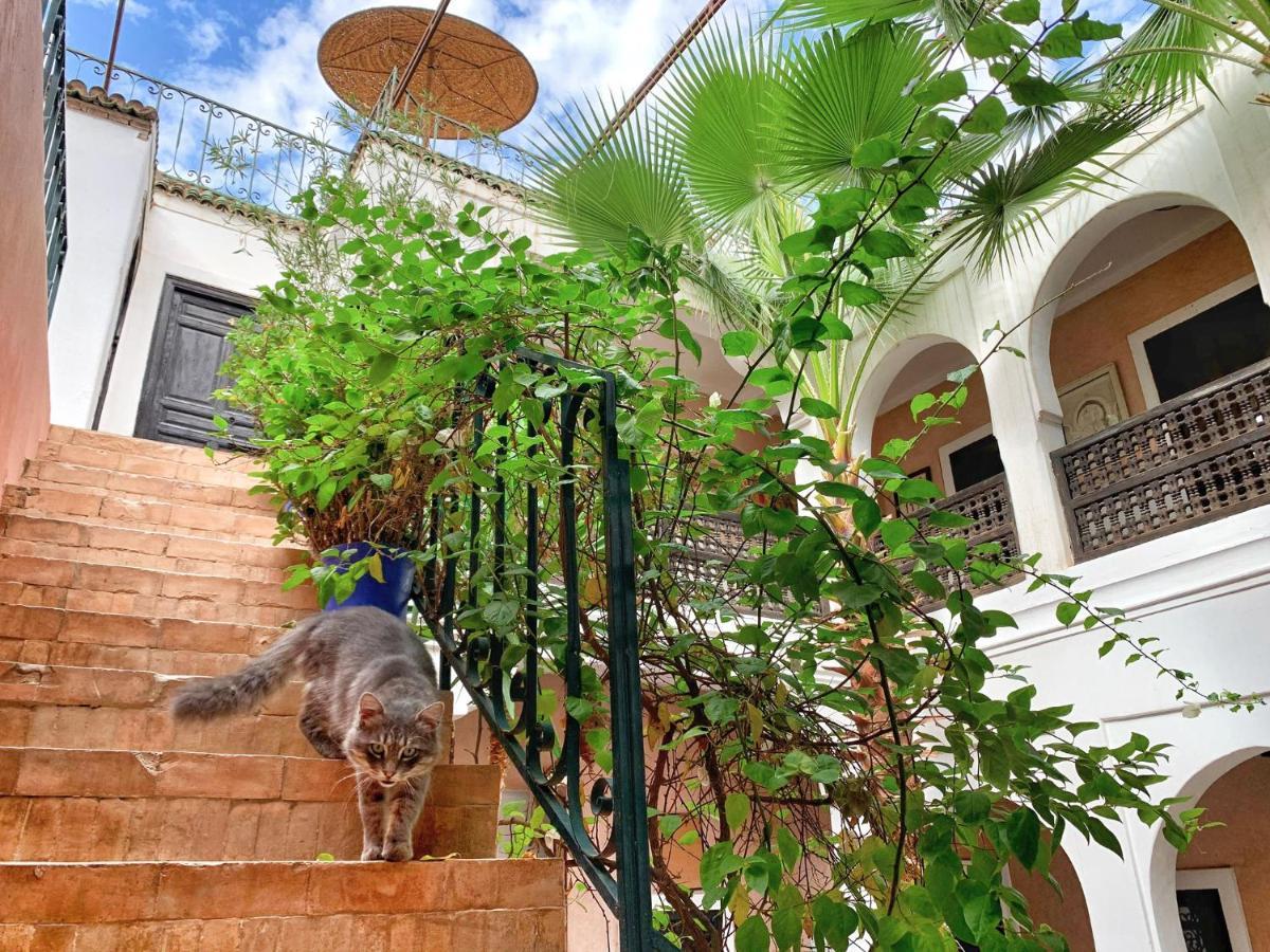 Riad Rockech Marrakesh Ngoại thất bức ảnh